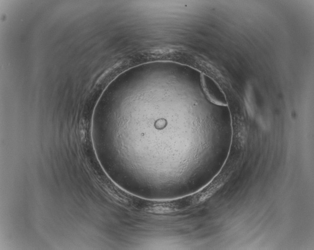 X0000067900758200604201334