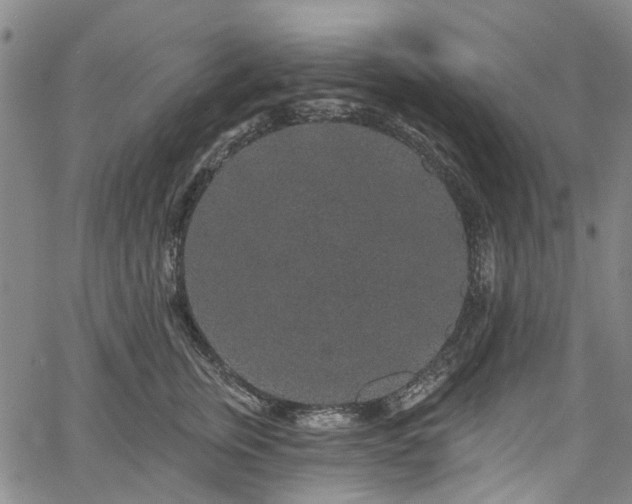 X0000067900759200604201334