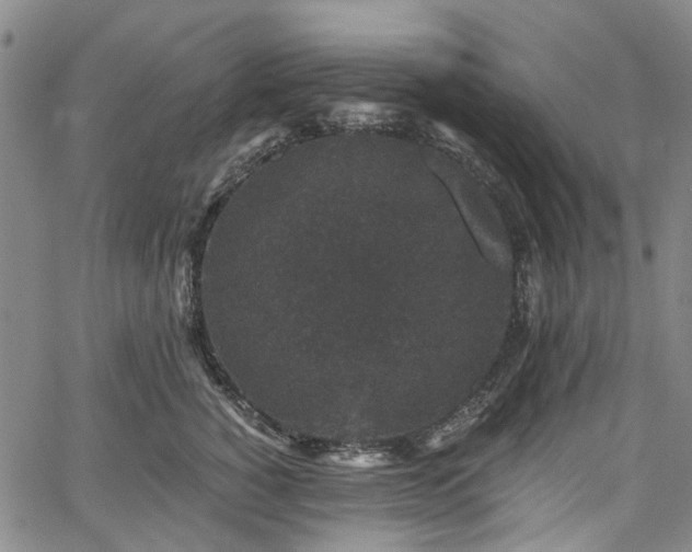 X0000067900760200604201334