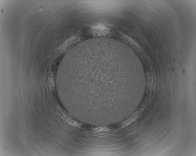 X0000067900761200604201334