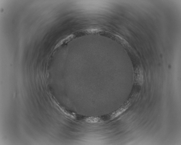 X0000067900762200604201334