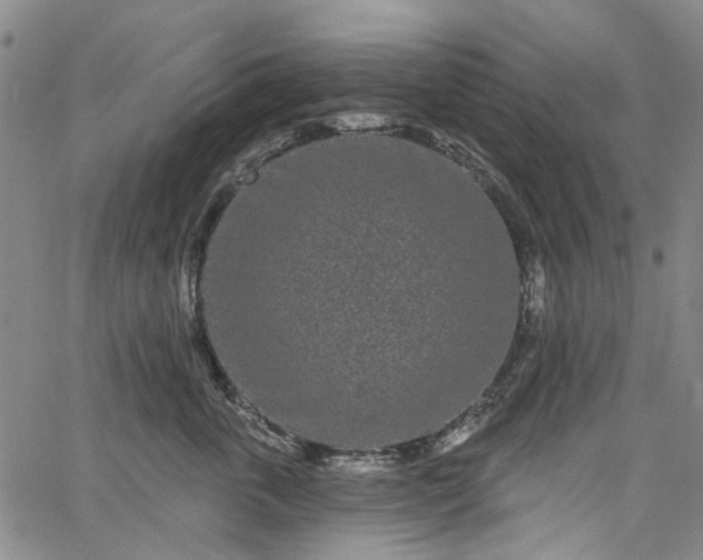 X0000067900763200604201334