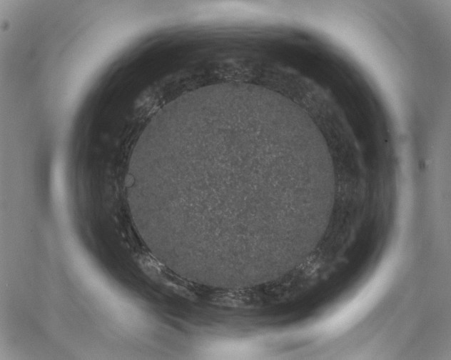 X0000067900765200604201335