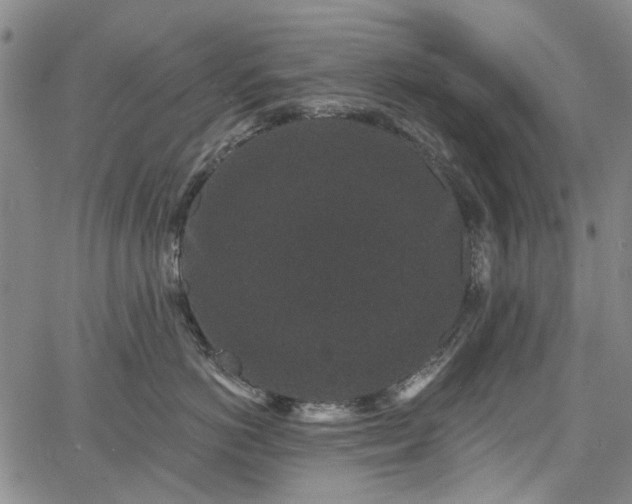 X0000067900766200604201335