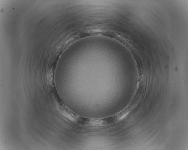 X0000067900767200604201335