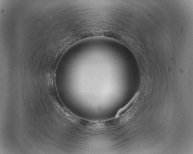 X0000067900768200604201335