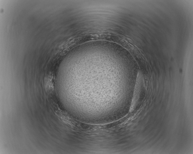 X0000067900770200604201334