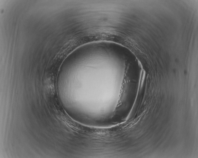 X0000067900771200604201334