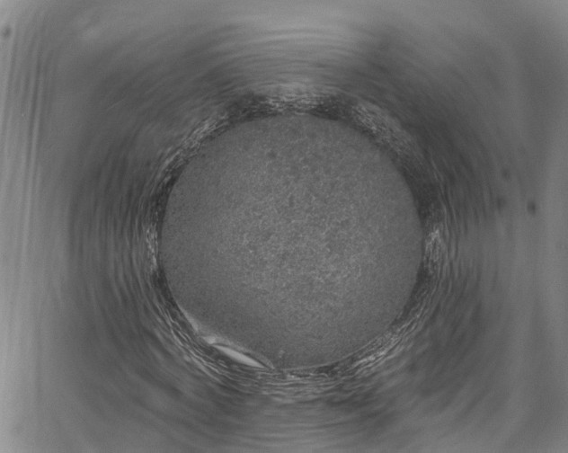 X0000067900772200604201334