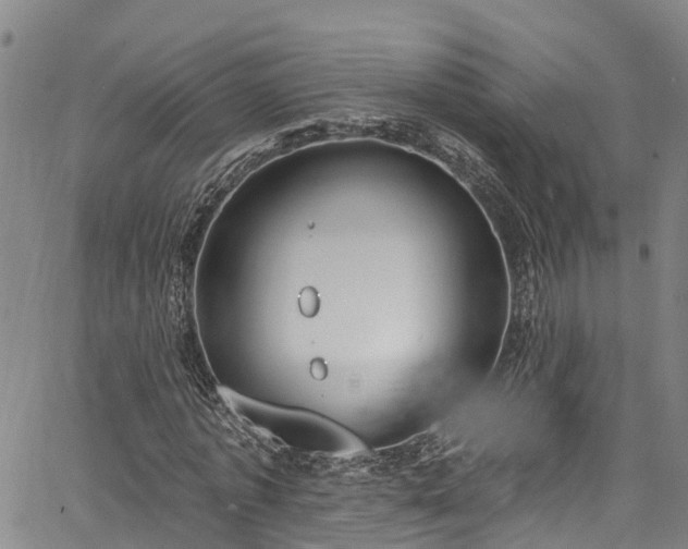 X0000067900773200604201334