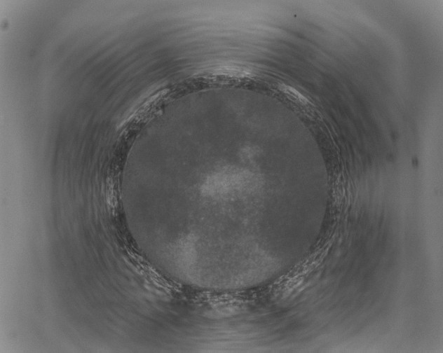 X0000067900774200604201334