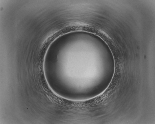 X0000067900775200604201334