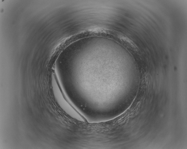 X0000067900776200604201334