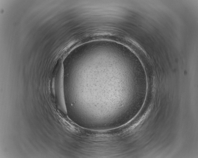 X0000067900777200604201334