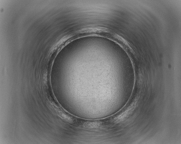 X0000067900778200604201334