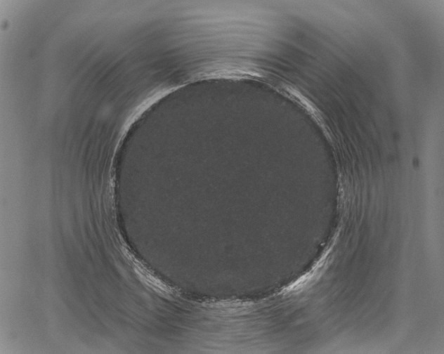 X0000067900779200604201334