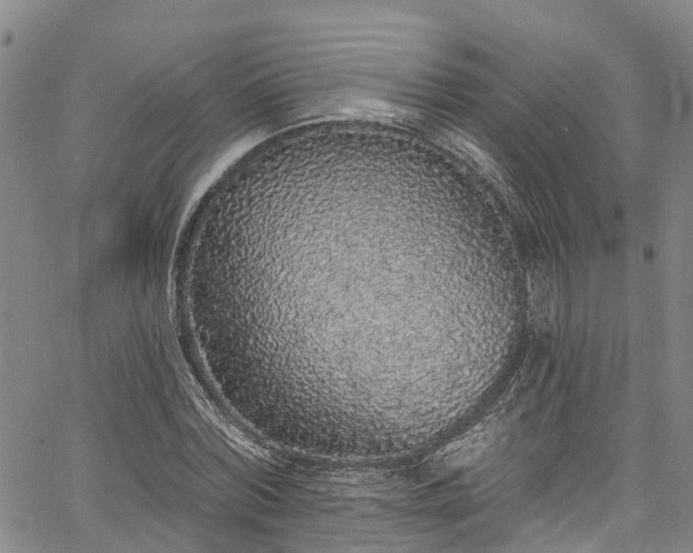 X0000067900780200604201334