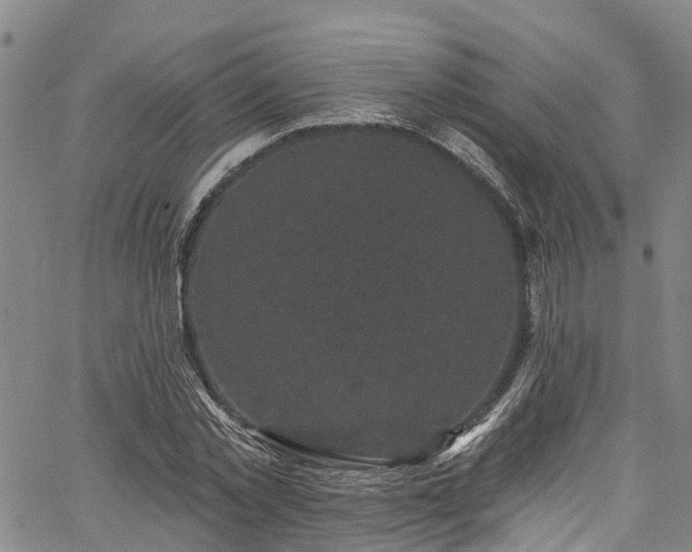 X0000067900781200604201334