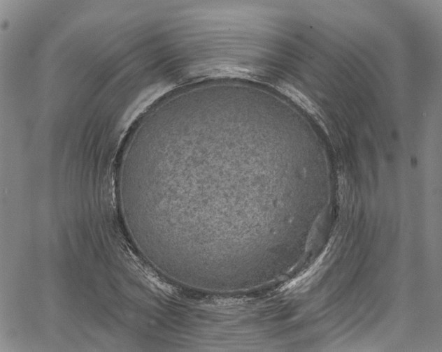 X0000067900782200604201334