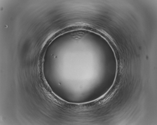 X0000067900783200604201334