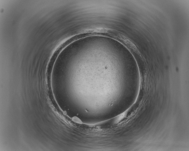 X0000067900784200604201334