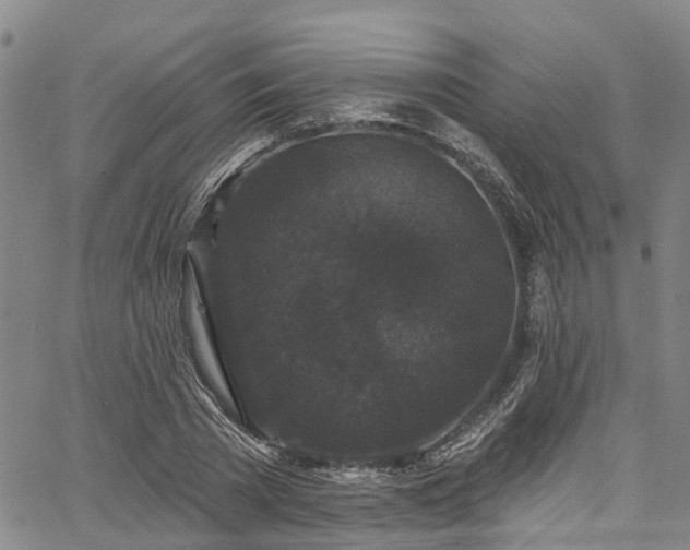 X0000067900785200604201334