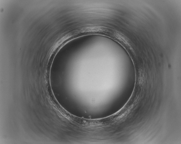 X0000067900786200604201333