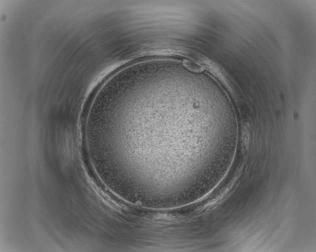 X0000067900787200604201333