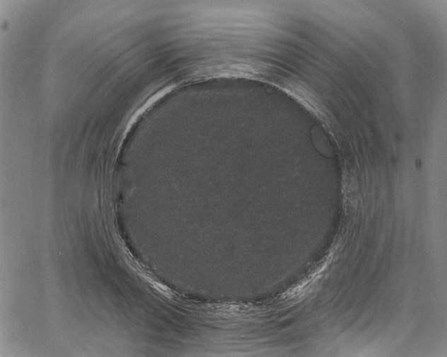 X0000067900790200604201333