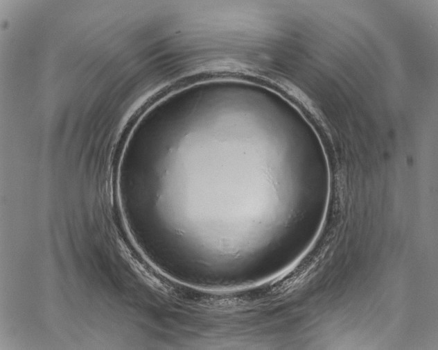 X0000067900791200604201333