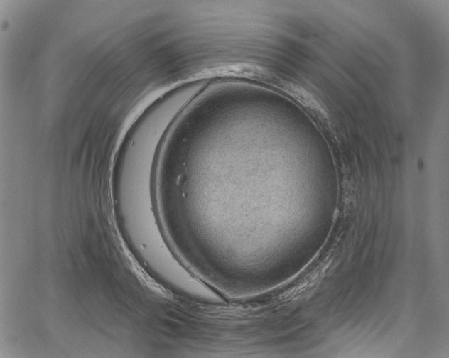 X0000067900792200604201333