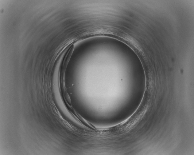 X0000067900793200604201333