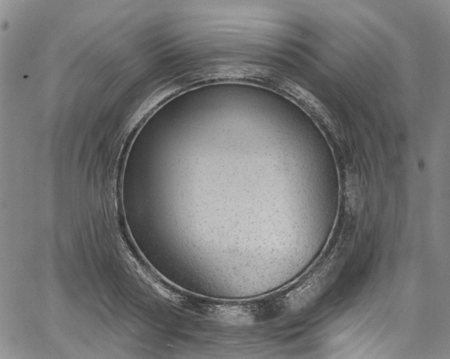 X0000067900794200604201333