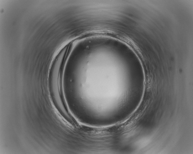 X0000067900795200604201333