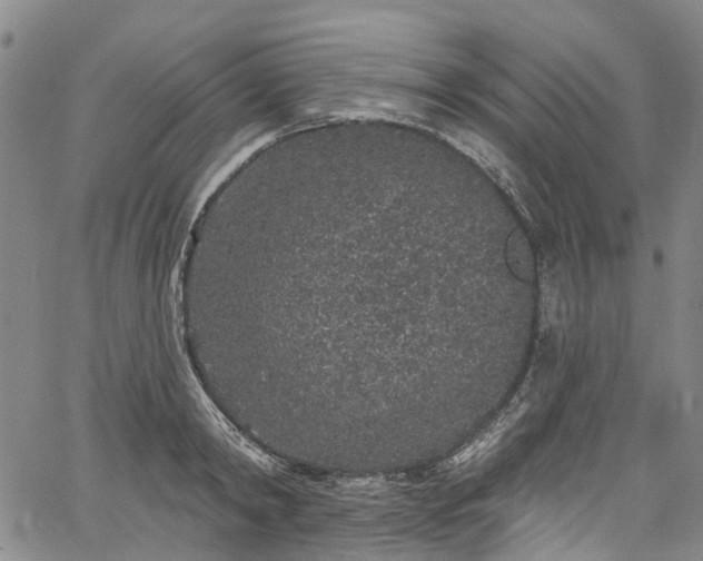 X0000067900798200604201333