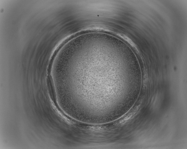 X0000067900799200604201333