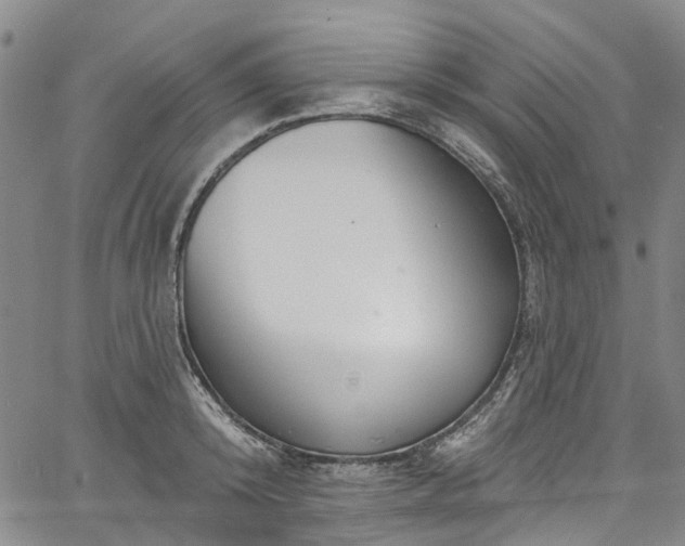 X0000067900800200604201333