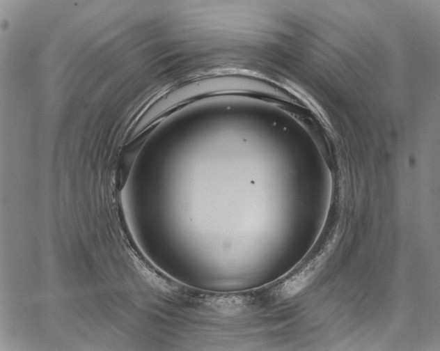 X0000067900801200604201333