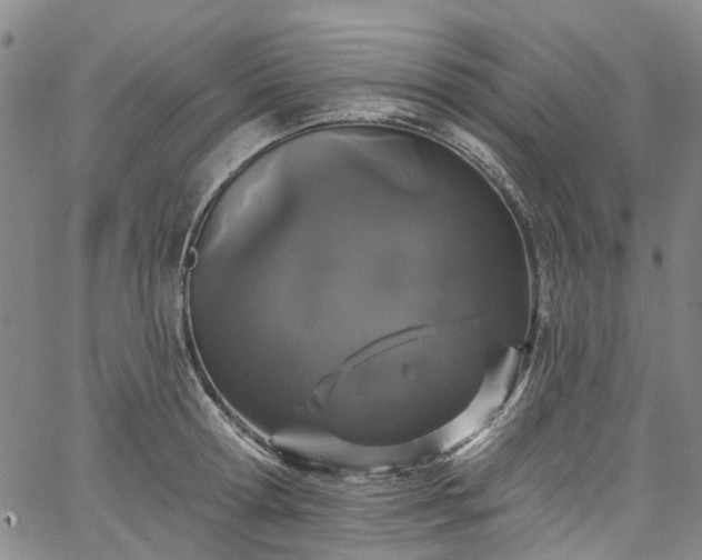 X0000067900802200604201333