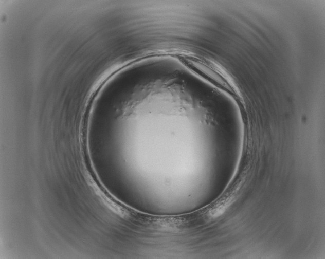 X0000067900803200604201333