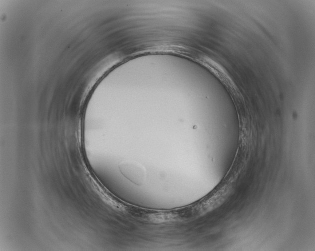 X0000067900804200604201333