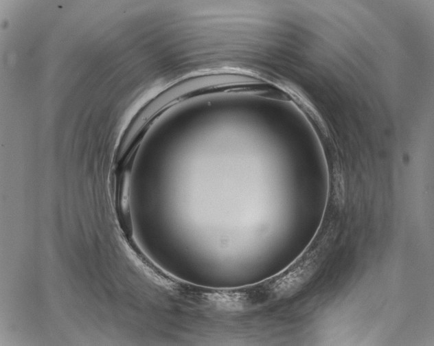 X0000067900805200604201333