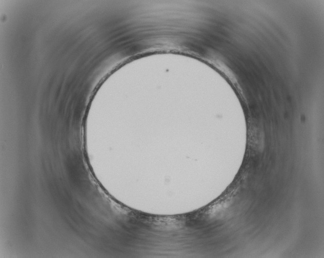 X0000067900807200604201333