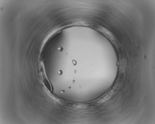 X0000067900808200604201333