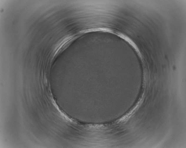 X0000067900809200604201333