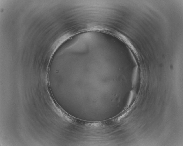 X0000067900810200604201333