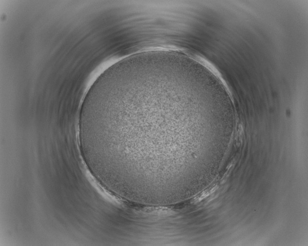 X0000067900811200604201333