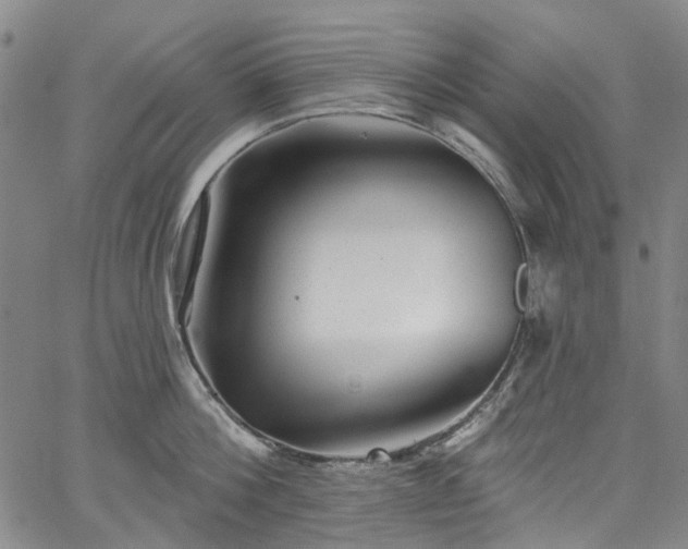 X0000067900812200604201333