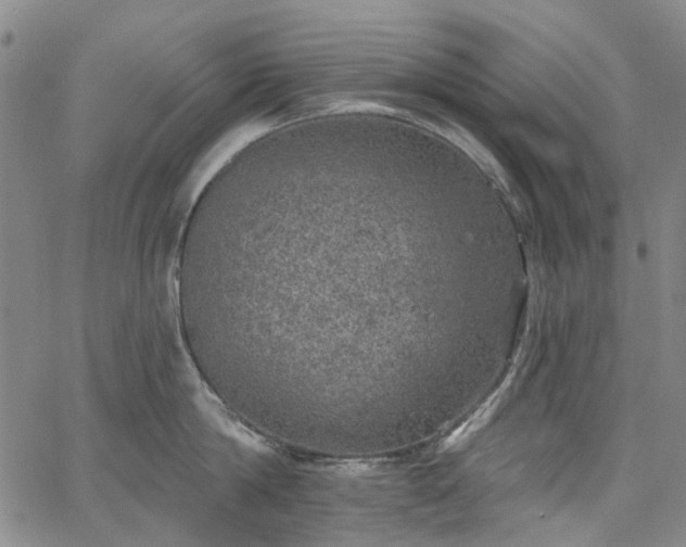 X0000067900814200604201333