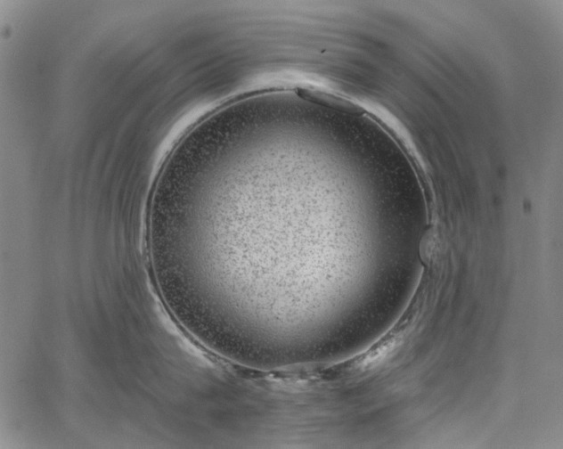 X0000067900815200604201333